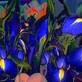 Night Bouquet Digital Art by Larry Beat Night Bouquet Digital Art by Larry Beat