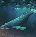 Night Diving by LE Williams