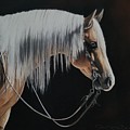Not Just Another Pretty Face Pastel by Joni Beinborn Not Just Another Pretty Face Pastel by Joni Beinborn