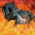 Nothin But Fire by Betsy Knapp Nothin But Fire by Betsy Knapp