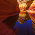 Oasis Photograph by Chad Dutson Oasis Photograph by Chad Dutson