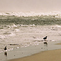 Ocean Edge by Steve Karol Ocean Edge by Steve Karol
