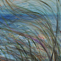Ocean Grasses in the Wind by Nadine Rippelmeyer Ocean Grasses in the Wind by Nadine Rippelmeyer
