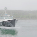 Ocean's Bounty Photograph by Holly Ross Ocean's Bounty Photograph by Holly Ross