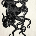 Octopus Digital Art by Nicklas Gustafsson Octopus Digital Art by Nicklas Gustafsson