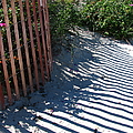 Ogunquit Shadows by Mary Ellen Mueller Legault Ogunquit Shadows by Mary Ellen Mueller Legault