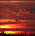 Oklahoma Sky at Daybreak  by Shelli Fitzpatrick