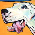 Ol' Blue Eye by Pat Saunders-White Ol' Blue Eye by Pat Saunders-White