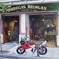 Old bodegas Bringas by Tomas Castano Old bodegas Bringas by Tomas Castano