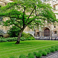 Old court. Clare College. Photograph by Elena Perelman Old court. Clare College. Photograph by Elena Perelman