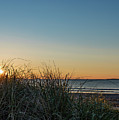Old Orchard Sunrise Photograph by Holly Ross Old Orchard Sunrise Photograph by Holly Ross