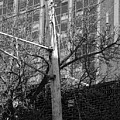 Old Telephone Pole Digital Art by Phil Perkins Old Telephone Pole Digital Art by Phil Perkins