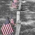 Old Tombstones and American Flags Photograph by James BO Insogna Old Tombstones and American Flags Photograph by James BO Insogna