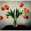 Old World Tulips Photograph by Peggy Dietz Old World Tulips Photograph by Peggy Dietz