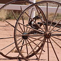 Old Worn Wagon Wheels in New Mexico by Colleen Cornelius Old Worn Wagon Wheels in New Mexico by Colleen Cornelius