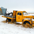 Old Yellow by Todd Klassy Old Yellow by Todd Klassy