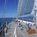 On Deck off Mexico Photograph by David J Shuler On Deck off Mexico Photograph by David J Shuler