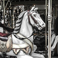 On the Merry go Round Photograph by Adriana Zoon On the Merry go Round Photograph by Adriana Zoon