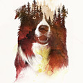 One night in the forest Mixed Media by Robert Farkas One night in the forest Mixed Media by Robert Farkas