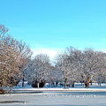 On Thin Ice Photograph by Baggieoldboy On Thin Ice Photograph by Baggieoldboy