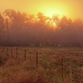 Oranage Dawn Photograph by Robert Charity Oranage Dawn Photograph by Robert Charity