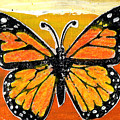 Orange Monarch by Genevieve Esson Orange Monarch by Genevieve Esson