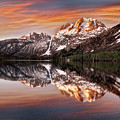 Orange Relections Photograph by Nicki Frates Orange Relections Photograph by Nicki Frates