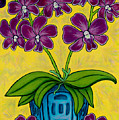 Orchid Delight by Lisa Lorenz Orchid Delight by Lisa Lorenz