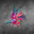 Orchid Fractal Art by Justyna Jaszke JBJart Orchid Fractal Art by Justyna Jaszke JBJart
