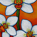 Orchid Oasis by Lisa Lorenz Orchid Oasis by Lisa Lorenz