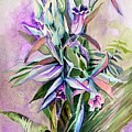 Orchids- Botanicals by Mindy Newman Orchids- Botanicals by Mindy Newman
