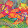 Orchids In Paradise by Cori Solomon Orchids In Paradise by Cori Solomon