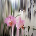 Orchids with dragonflies Digital Art by Sand And Chi Orchids with dragonflies Digital Art by Sand And Chi