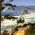 Oregon Coast 15 by Marty Koch Oregon Coast 15 by Marty Koch