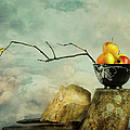 Oriental Still Life Photograph by Theresa Tahara Oriental Still Life Photograph by Theresa Tahara