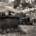 Out on T by William Fields