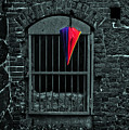 Outside the Bunker by Randi Grace Nilsberg