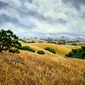 Overcast June Morning Painting by Laura Iverson Overcast June Morning Painting by Laura Iverson
