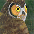 Owl 2009 by Lilibeth Andre Owl 2009 by Lilibeth Andre