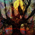 Owl And Willow Tree Digital Art by Mimulux Patricia No Owl And Willow Tree Digital Art by Mimulux Patricia No