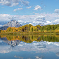 Oxbow Fall Pano Photograph by Ronnie And Frances Howard
