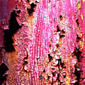 Oxidation #3007 by Raymond Magnani