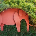 Pachyderm Sign Photograph by Kenny Glover Pachyderm Sign Photograph by Kenny Glover