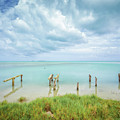 Paddleboard Hitching Post Photograph by Becqi Sherman Paddleboard Hitching Post Photograph by Becqi Sherman