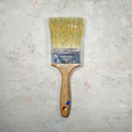 Paint Brush Photograph by Scott Norris Paint Brush Photograph by Scott Norris