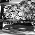 Painted Bench by Rob Hans Painted Bench by Rob Hans