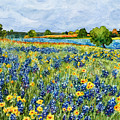 Painted Hills Painting by Hailey E Herrera Painted Hills Painting by Hailey E Herrera