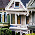 Painted Ladies Photograph by Doug Sturgess Painted Ladies Photograph by Doug Sturgess