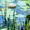 Painted North American White Water Lily Mixed Media by Onyonet Photo Studios Painted North American White Water Lily Mixed Media by Onyonet Photo Studios