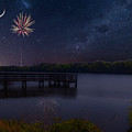 Palmetto Lake by David Palmer